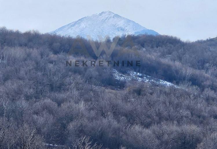 Boljevac - Dobrujevac ,zemljište u komadu povšine 44242m2 sa ucrtanim objektom 35m2