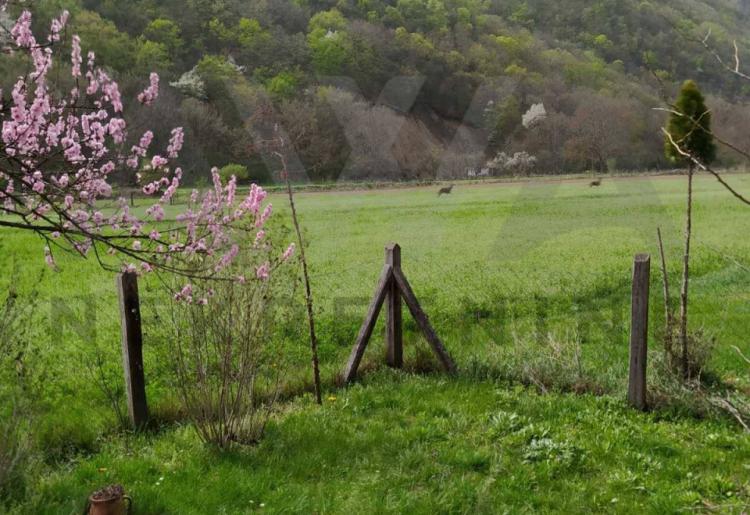 Boljevac - Jablanica , vikendica za uživanje 50m2 na parceli površine  1022m2