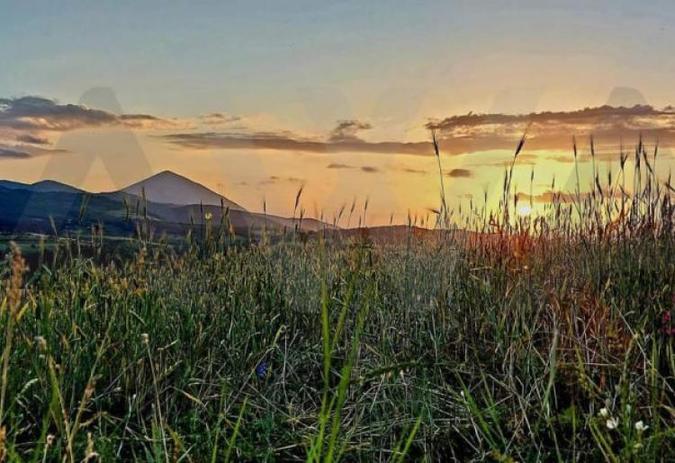 Boljevac - Bačevica,  poljoprivredno zemljište površine  oko 10ha 