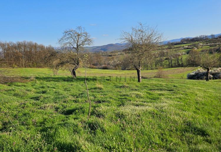 Boljevac - selo Podgorac , poljoprivredno zemljište u komadu površine 17338m2
