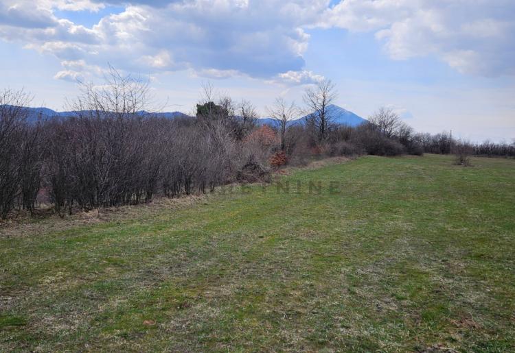 Boljevac - Dobro Polje ,poljoprivredno i šumsko zemljište - 60.270m2