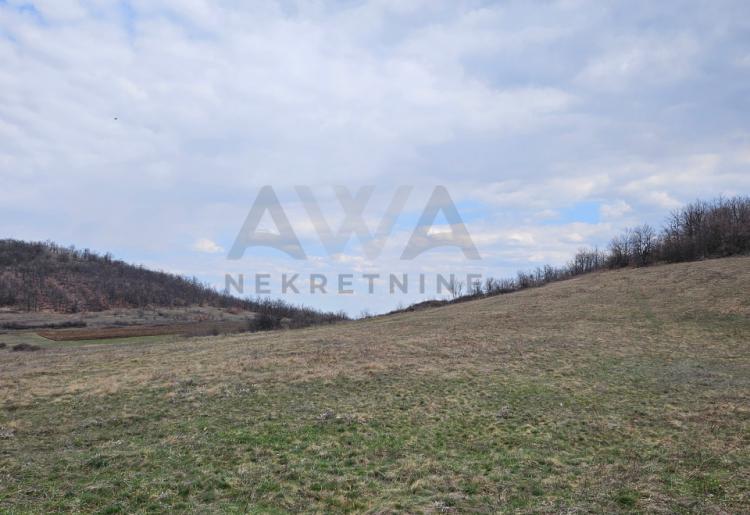 Boljevac - Dobro Polje ,poljoprivredno i šumsko zemljište - 60.270m2