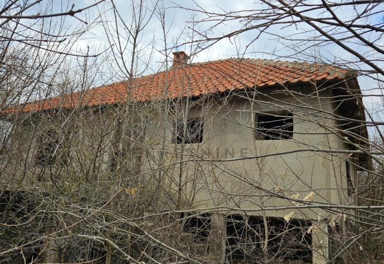 Boljevac - Dobro Polje ,poljoprivredno i šumsko zemljište - 60.270m2