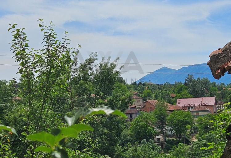 Boljevac - Krivi  Vir , kuća 35m2 na placu od oko 4ari