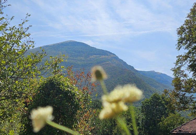 Mirovo- samo podnozje Rtanj planine