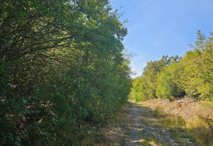 Mirovo- samo podnozje Rtanj planine