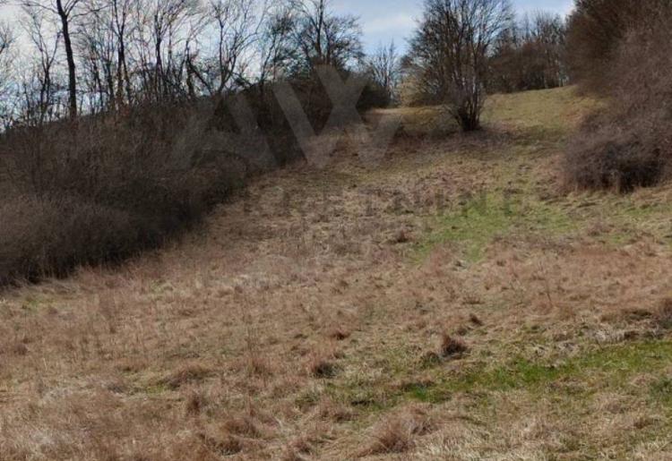 Podgorac- poljoprivredno zemljiste 139ar  13500e