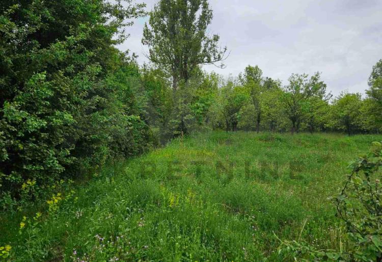 Rujište - podnozje planine Rtanj,građevinsko zemljište 1234m2