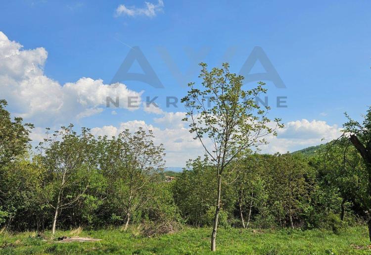 Ilino-samo podnozje  Rtnja,gradjevinsko i poljoprivredno zemljiste sa ucrtanim objektima 10460m2