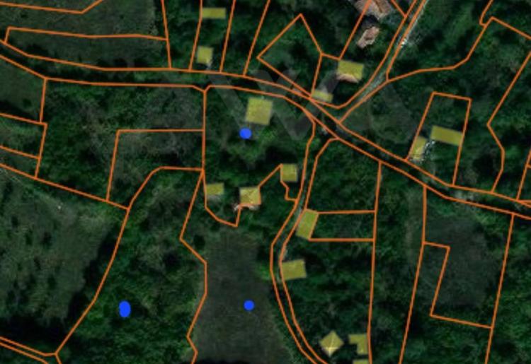 Ilino-samo podnozje  Rtnja,gradjevinsko i poljoprivredno zemljiste sa ucrtanim objektima 10460m2