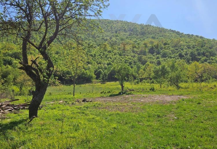 Ilino-samo podnozje  Rtnja,gradjevinsko i poljoprivredno zemljiste sa ucrtanim objektima 10460m2