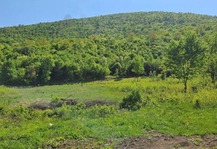 Ilino-samo podnozje  Rtnja,gradjevinsko i poljoprivredno zemljiste sa ucrtanim objektima 10460m2