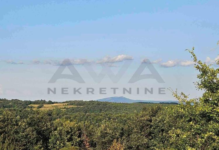 Vrbovac- Boljevac-sumsko -poljoprivredno  zemljiste  12537m2
