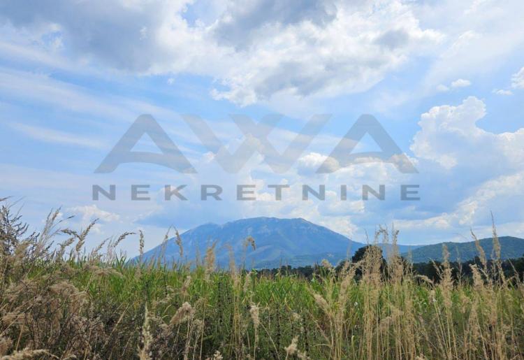 Krivi Vir - Rtanj   Poljoprivredno zemljiste,dve parcele povrisne 6572m2