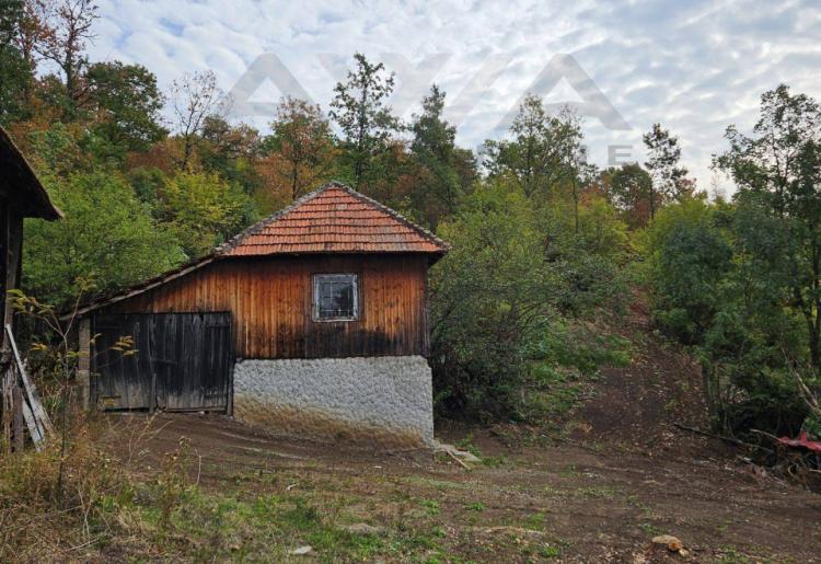 Valakonje- Boljevac  Ni na nebu ,ni na zemlji...Domacinstvo sa oko 4hektara zemlje