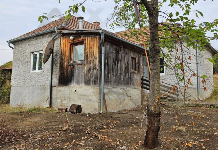 Valakonje- Boljevac  Ni na nebu ,ni na zemlji...Domacinstvo sa oko 4hektara zemlje