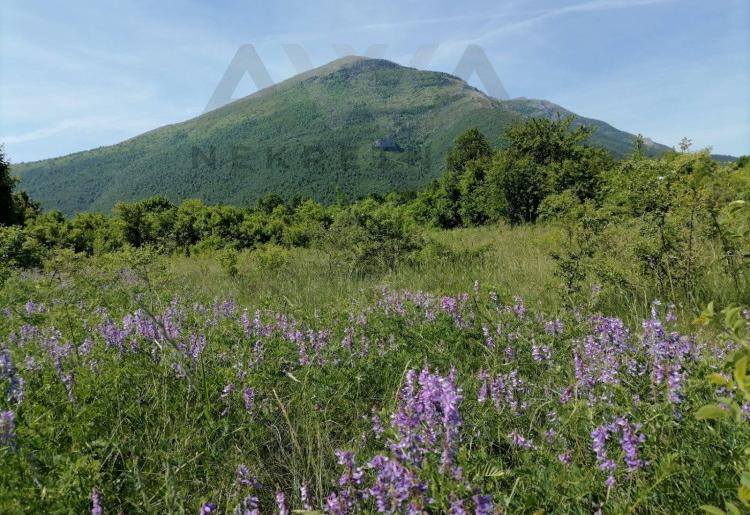 Mirovo- podnozje planine Rtanj ,gradjevinsko zemljiste 1024m2