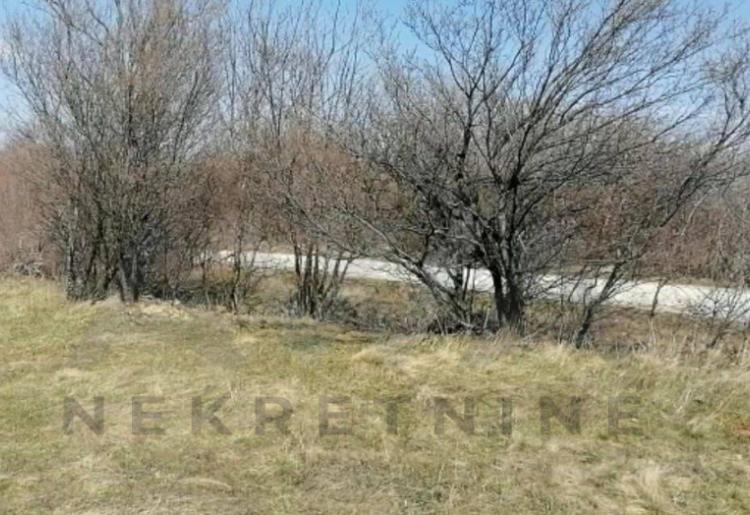 Mirovo- podnozje planine Rtanj ,gradjevinsko zemljiste 1024m2