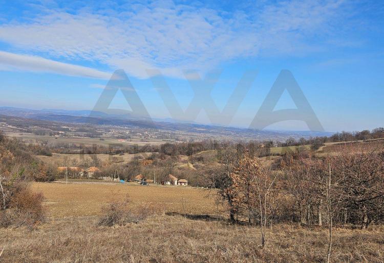 Valakonje - Boljevac , ucrtani objekti za rusenje 64m2- 47m2 sa oko 4,5ha zemljista u komadu 