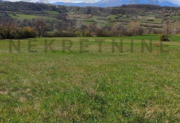 Bogovina -Boljevac  Kuca 30m2 + 19298m2 zemlje u komadu 