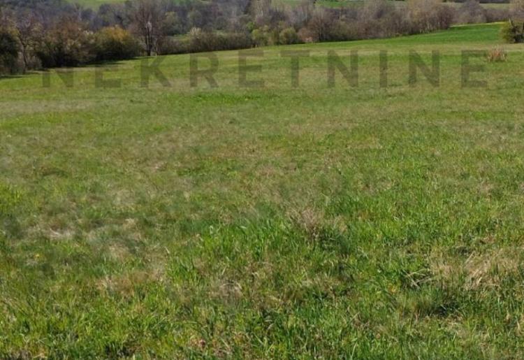 Bogovina -Boljevac  Kuca 30m2 + 19298m2 zemlje u komadu 
