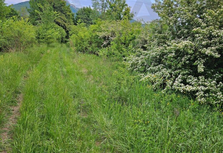 Mirovo - Boljevac  poljoprivredno zemljiste 1499m2