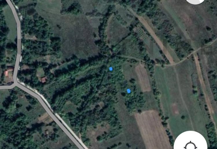 Mirovo - Boljevac  Poljoprivredno zemljiste 10200m2