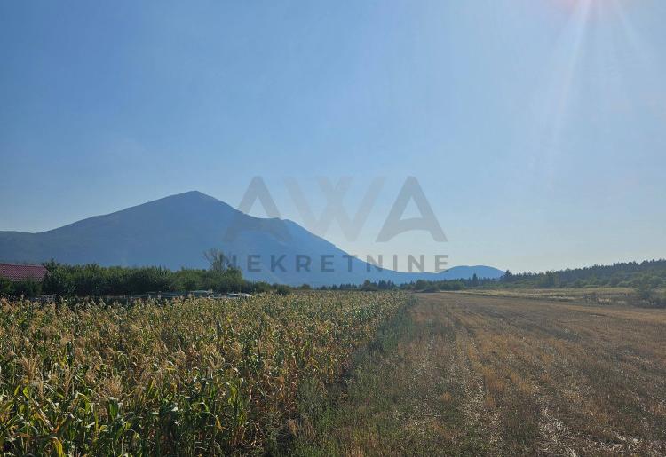 Boljevac - Ilino, podnozje planine Rtanj,poljoprivredno zemljiste 7478m2