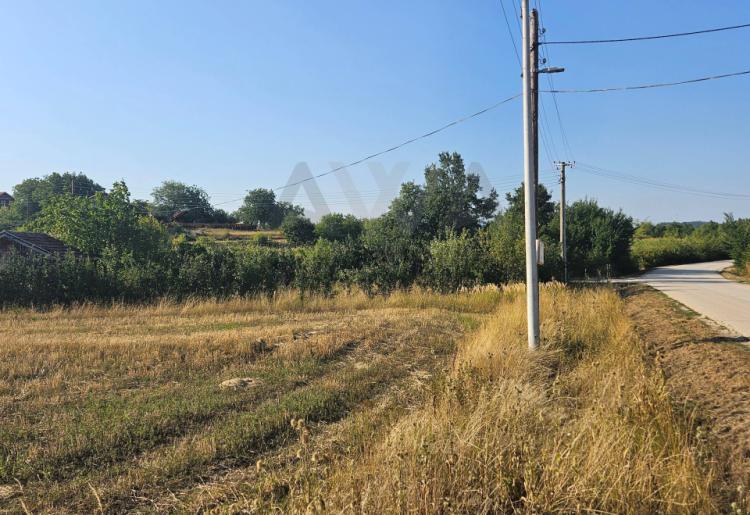 Boljevac - Ilino, podnozje planine Rtanj,poljoprivredno zemljiste 7478m2